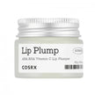 Refresh AHA BHA Vitamin C Lip Plumper - 20g