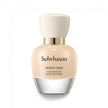Perfecting Foundation - 35ml (SPF17 PA+)